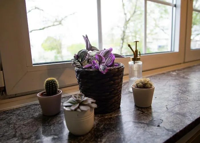 Appartement Casa Gargolas *